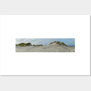 Panorama of the grassy dunes on the island of Terschelling, Netherlands Posters and Art